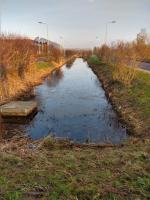Overview of the swale