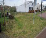 Swale with trees, drains en open overflow to surfacewater - credit Antal zuurman