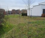 Swale with trees, drains en open overflow to surfacewater - credit Antal zuurman