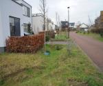 Swale with trees, drains en open overflow to surfacewater - credit Antal zuurman