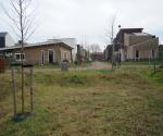 Swale with trees, drains en open overflow to surfacewater - credit Antal zuurman