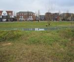 Swale with trees, drains en open overflow to surfacewater - credit Antal zuurman
