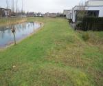 Swale with trees, drains en open overflow to surfacewater - credit Antal zuurman