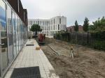 Photo: Rockwool Rainwater Systems