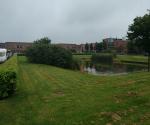 pond