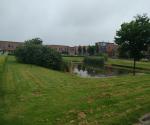 pond2
