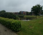 pond3