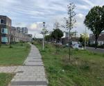 Infiltratieveld begroeide toestand zomer 2021 - credit by Antal Zuurman