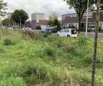 Infiltratieveld begroeide toestand zomer 2021 - credit by Antal Zuurman