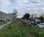 Infiltratieveld begroeide toestand zomer 2021 - credit by Antal Zuurman