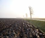 Impressie 1