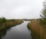 Impressie 1