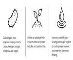 Benefits of biochar in soil