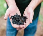 Biochar