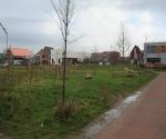 swale with playground and open overflow - credit antal zuurman