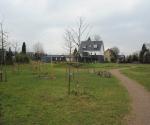 swale with playground and open overflow - credit antal zuurman