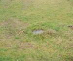 swale with playground and open overflow - credit antal zuurman