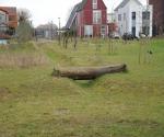 swale with playground and open overflow - credit antal zuurman