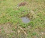swale with playground and open overflow - credit antal zuurman