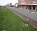 2010- gutters street to swale - credit Antal Zuurman