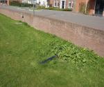 2010- gutters street to swale - credit Antal Zuurman