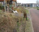 mini swales - infiltration ditch in front house - credit Antal Zuurman