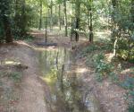 Overflow from swale to the surrounding area in the complete playground - credit Antal zuurman