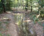 Overflow from swale to the surrounding area in the complete playground - credit Antal zuurman