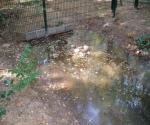 Overflow from swale to the surrounding area in the complete playground - credit Antal zuurman