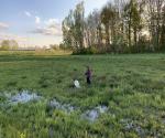 Removing waste - credit antal zuurman 5-5-21