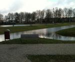 high water alamr in river Waal with groudnwater effect - credit antal zuurman
