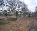Construction phase 2009 - credit antal zuurman