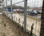 Constructions phase vertical green Albert Heijn - credit Antal Zuurman