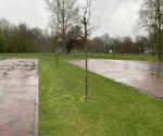 Shallow swale for runoff - credit Antal Zuurman