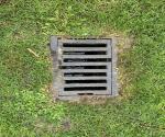 Shallow swale for runoff - credit Antal Zuurman