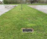 Shallow swale for runoff - credit Antal Zuurman