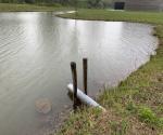 Shallow swale for runoff - credit Antal Zuurman