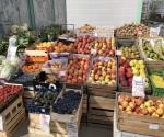 Local market is a great option not only to support local farmers, but to reduce carbon dioxide emissions from transport