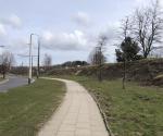 The green earth embankment in summer shows consistent biodiversity, but its greatest advantage is the reduction of noise pollution from a busy street. There are many benefits of what is around us, you just need to look for them ;)