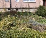 A garden with organized flower beds, cared for by the residents