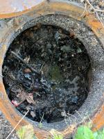 Fieldvisit 21st of august 2025 - credit by Antal Zuurman