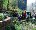 Community Garden 