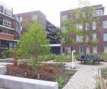 Pocket Park Roerplein #2