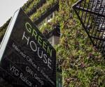 Green Wall Intervest #1