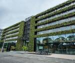 Green Wall Intervest #2
