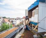 Green Roof de Roma