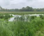 Fieldvisit 15th may 2021, credit Antal Zuurman