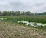Fieldvisit 15th may 2021, credit Antal Zuurman