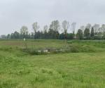 Fieldvisit 15th may 2021, credit Antal Zuurman