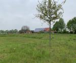 Fieldvisit 15th may 2021, credit Antal Zuurman